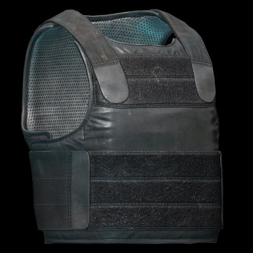 PACA Soft Armor