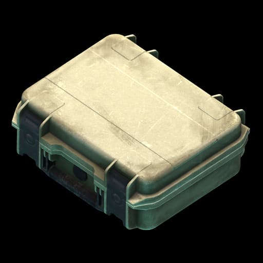 Pistol case
