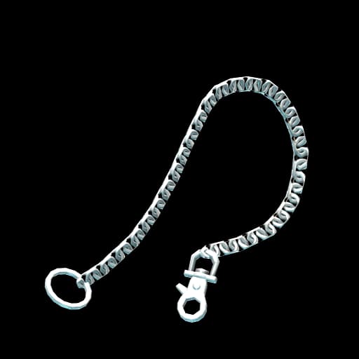 Chainlet