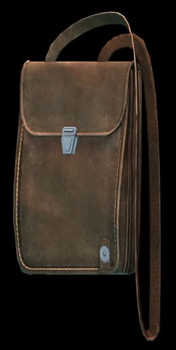 Documents case