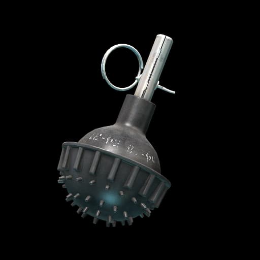 Zarya stun grenade
