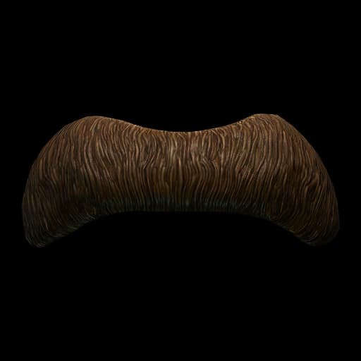 Fake mustache