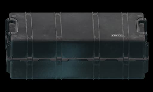 T H I C C item case