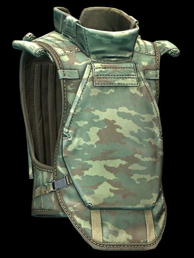 6B13 assault armor (Flora)