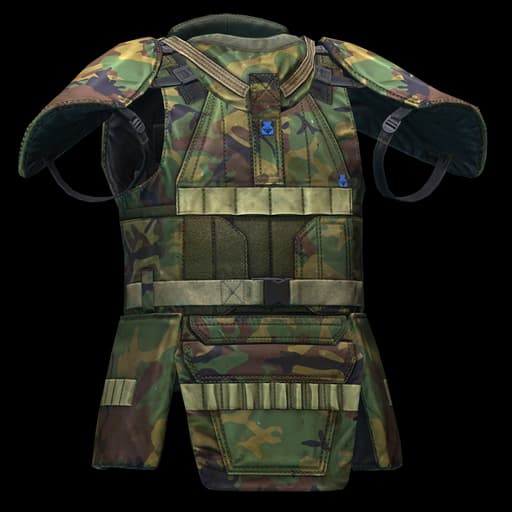 FORT Redut-T5 body armor (Smog)