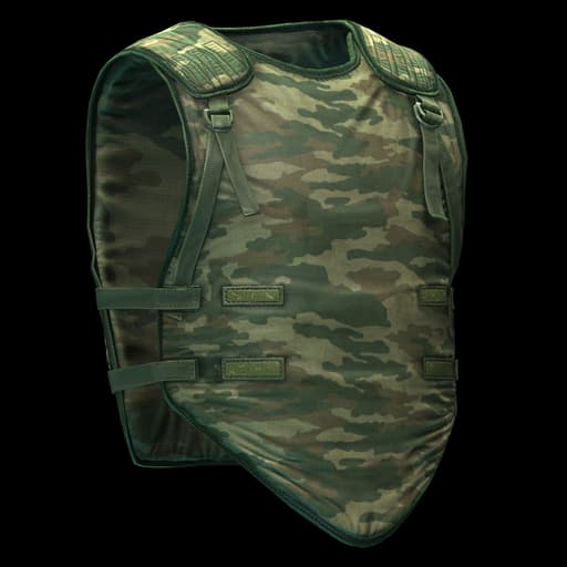 6B2 body armor (Flora)