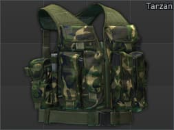 https://assets.tarkov.dev/5e4abfed86f77406a2713cf7-grid-image.webp