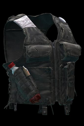 Security vest